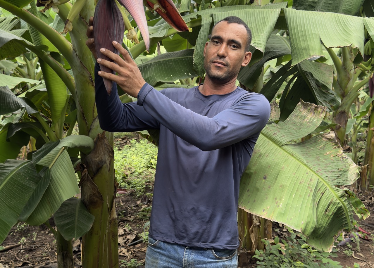 Pequenos agricultores podem receber até R$ 28 mil por ações que preservem floresta amazônica