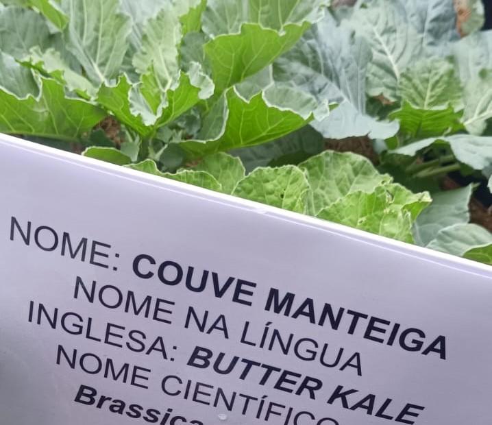 Projeto de escola estadual em Cáceres torna aprendizado em inglês mais atrativo e aumenta engajamento dos alunos