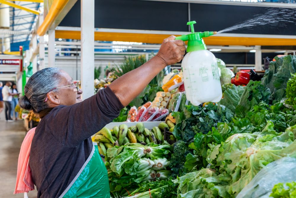 Prefeitura entrega 142 Termos de Permissão para o Mercado do Porto nesta quarta