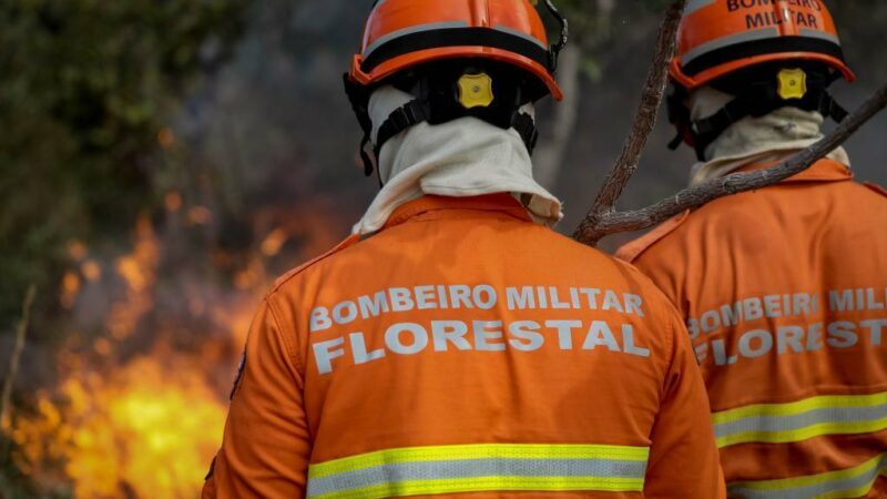 Corpo de Bombeiros combate 13 incêndios florestais neste sábado (11)