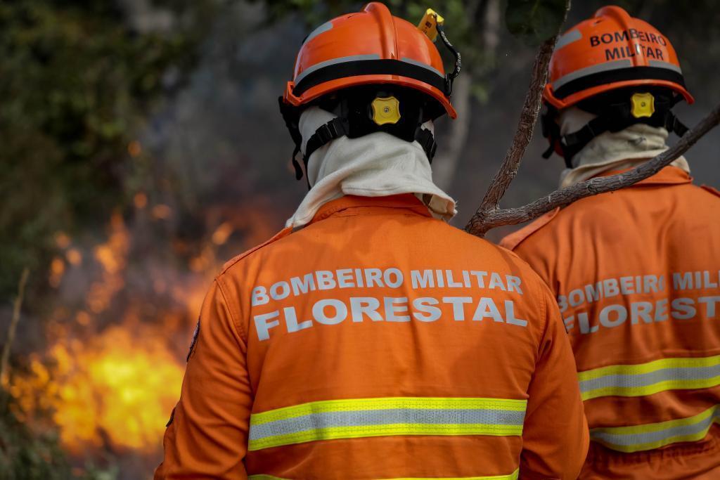 Corpo de Bombeiros combate 13 incêndios florestais neste sábado (11)