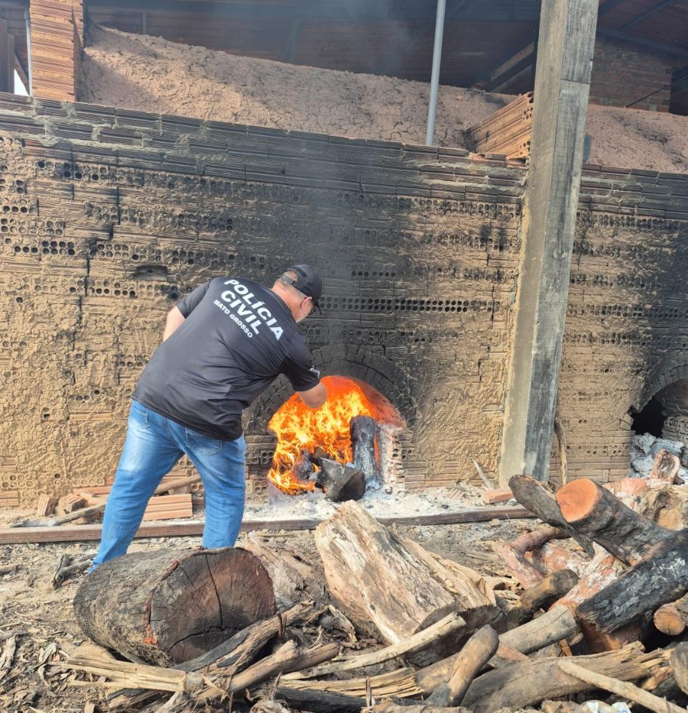 Polícia Civil incinera entorpecentes apreendidos em Alto Boa Vista