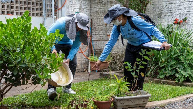 Prefeitura faz grande mutirão contra a dengue em Cuiabá nesta terça