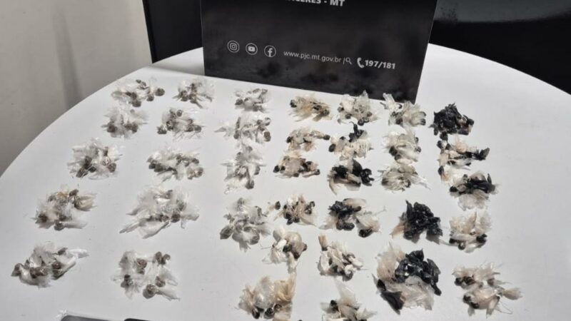 Polícia Civil deflagra operação para combater crimes praticados por membros de facção