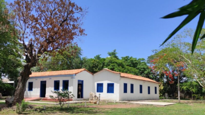 Exposição de ecoarte em cerâmica será lançada nesta quinta-feira (2) no Museu de História Natural de Mato Grosso