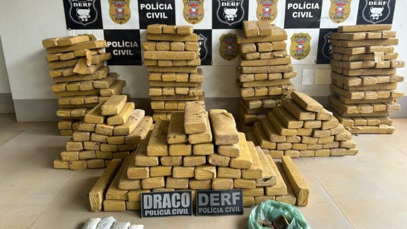 Polícia Civil prende faccionado e apreende 305 tabletes de maconha enterrados nos fundos de imóvel