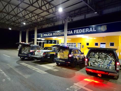 PRF apreende 2,4 toneladas de drogas em Primavera do Leste