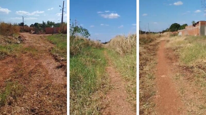 Vegetação incontrolada bloqueia ruas em bairro de Várzea Grande